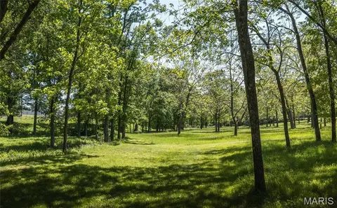 Exterior - 10780 Wilmena Ln, Rolla, MO 65401 photo 9 of 11