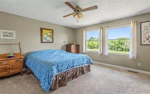 Bedroom - 10780 Wilmena Ln, Rolla, MO 65401 photo 1 of 6