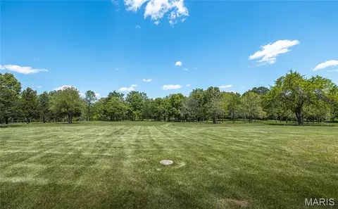 Exterior - 10780 Wilmena Ln, Rolla, MO 65401 photo 7 of 11