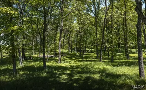 Other - 10780 Wilmena Ln, Rolla, MO 65401 photo 12 of 18