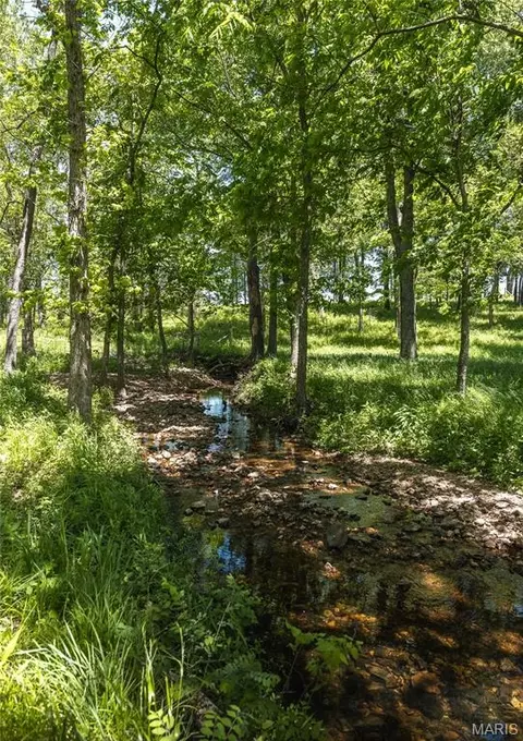 Other - 10780 Wilmena Ln, Rolla, MO 65401 photo 14 of 18