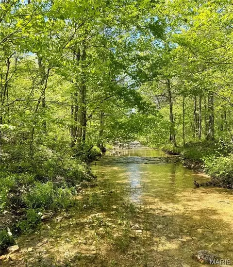 5 Furnace Creek Rd, Potosi, MO 63664