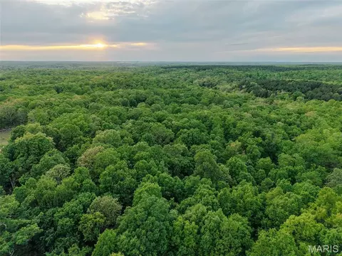 65 Acres- E Highway 32, Salem, MO 65560