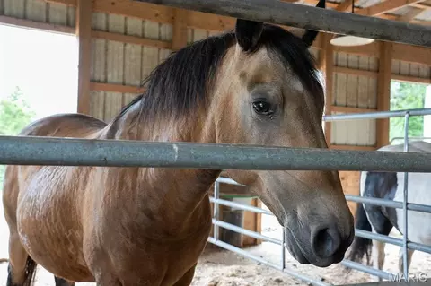 Other - 5106 Noser Mill Rd, Leslie, MO 63056 photo 9 of 25