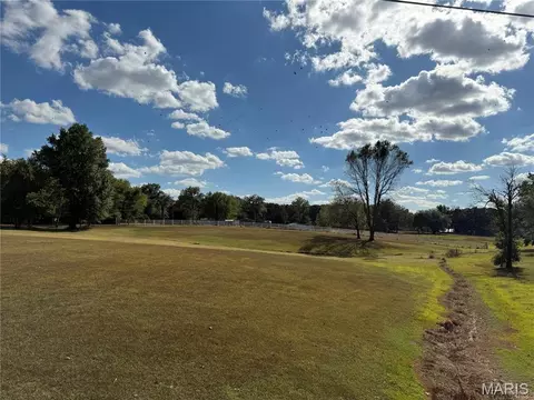 751 Torrens St, Tilden, IL 62292 photo 20