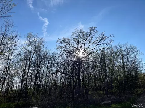 1190 Private Road 349a-5, Piedmont, MO 63957