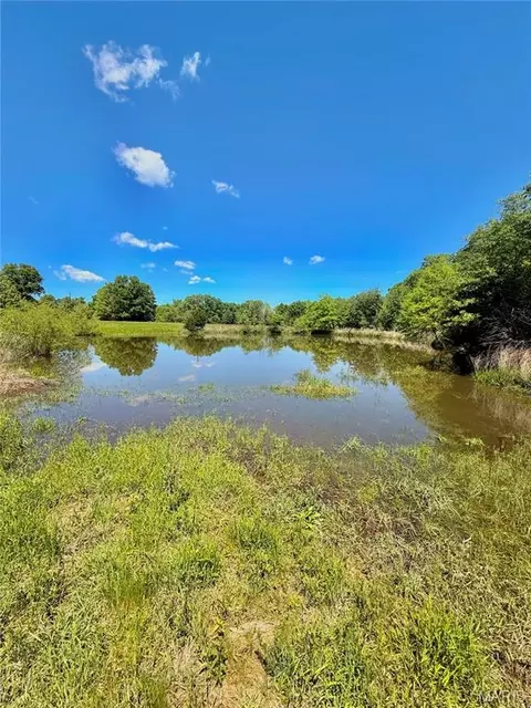 View/Area - 1375 SE 800 Rd, Collins, MO 64738 photo 3 of 4