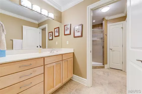 Bath - 25 Windcastle Dr, Saint Charles, MO 63304 photo 10 of 10