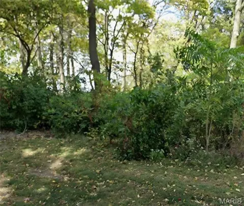 Nnn Briar Hill Road, Belleville, IL 62223