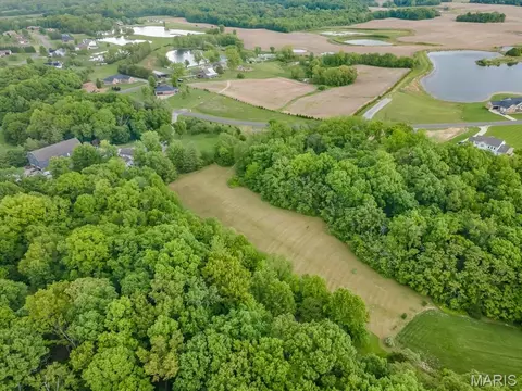 6041 Monarch Xing, Waterloo, IL 62298 photo 3