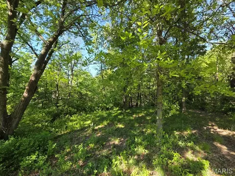 Other - 403 Constantz Dr, Canton, MO 63435 photo 11 of 11