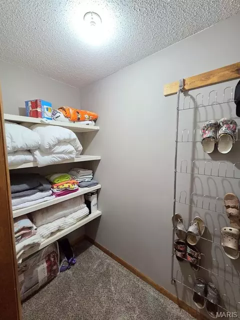Other - 403 Constantz Dr, Canton, MO 63435 photo 6 of 11