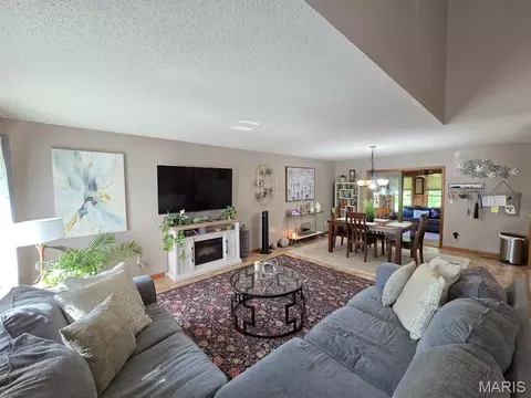 Living - 403 Constantz Dr, Canton, MO 63435 photo 4 of 6