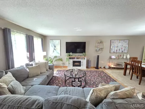 Living - 403 Constantz Dr, Canton, MO 63435 photo 3 of 6