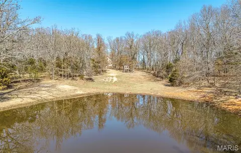 View/Area - 18521 Oak Tree Ln, Phillipsburg, MO 65722 photo 1 of 2