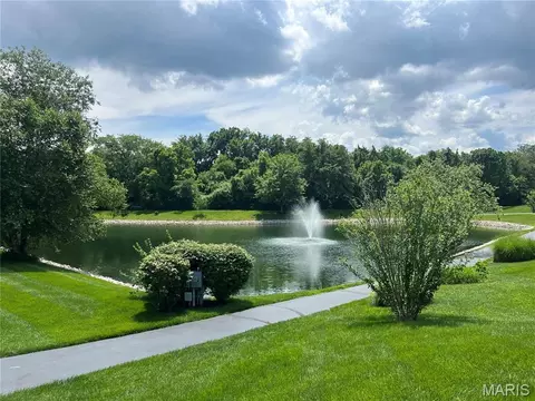 Other - 563 Boulder River Dr, O'fallon, MO 63368 photo 5 of 6