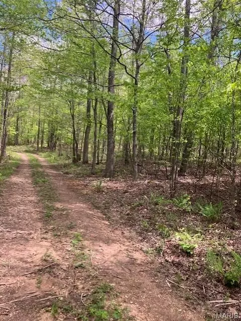 223 Madison Cr 410, Fredericktown, MO 63645