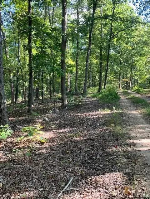 224 Madison Cr 410, Fredericktown, MO 63645
