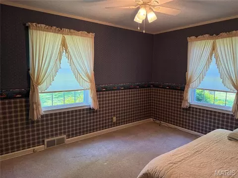 Bedroom - 6 Riverpoint Rd, Hannibal, MO 63401 photo 3 of 5
