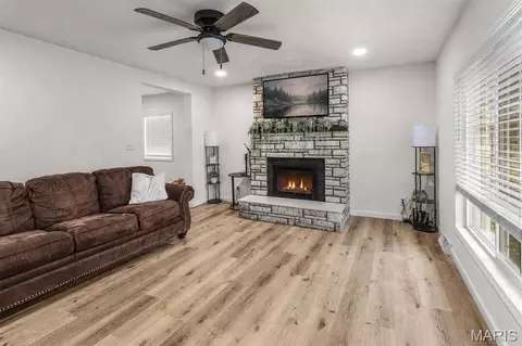 Living - 219 W Davidson Ave, Chaffee, MO 63740 photo 3 of 3