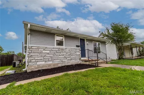 Exterior - 219 W Davidson Ave, Chaffee, MO 63740 photo 2 of 4