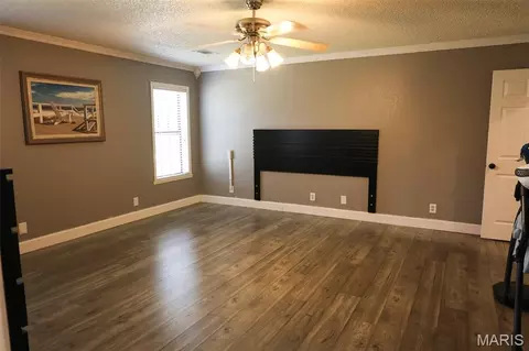 Other - 201 Lawrence Dr, Steele, MO 63877 photo 6 of 14