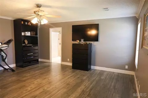 Other - 201 Lawrence Dr, Steele, MO 63877 photo 5 of 14