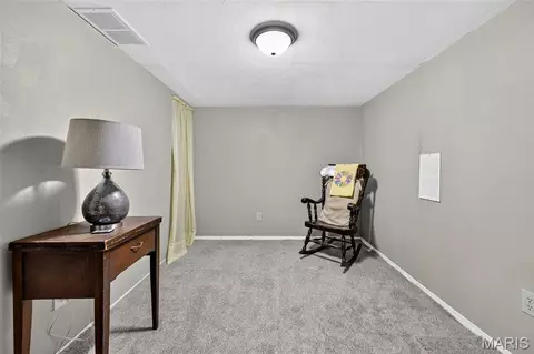 Other - 545 Lemonwood Dr, Ballwin, MO 63021 photo 12 of 18