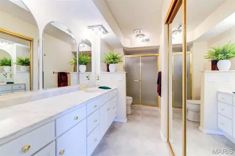 Bath - 923 Claytonbrook Dr #2, Ballwin, MO 63011 photo 1 of 2