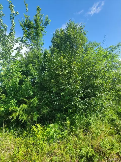 5096 Fox Creek Rd, Pacific, MO 63069