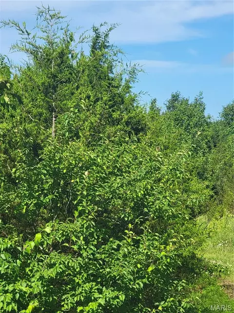 5086 Fox Creek Rd, Pacific, MO 63069