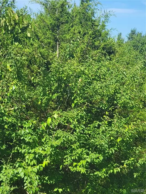 5060 Fox Creek Rd, Pacific, MO 63069