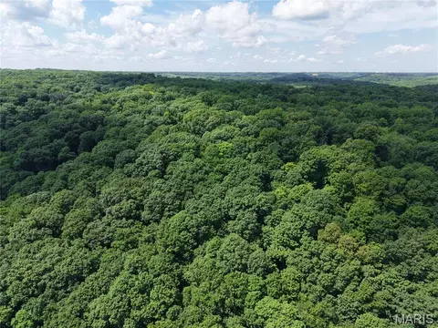 24 Monkey Run, Hannibal, MO 63401 photo 9