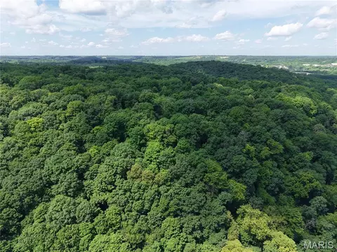 24 Monkey Run, Hannibal, MO 63401 photo 11