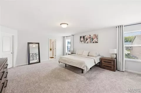 Bedroom - 413 Fox Sedge Ct, O'fallon, MO 63366 photo 7 of 8