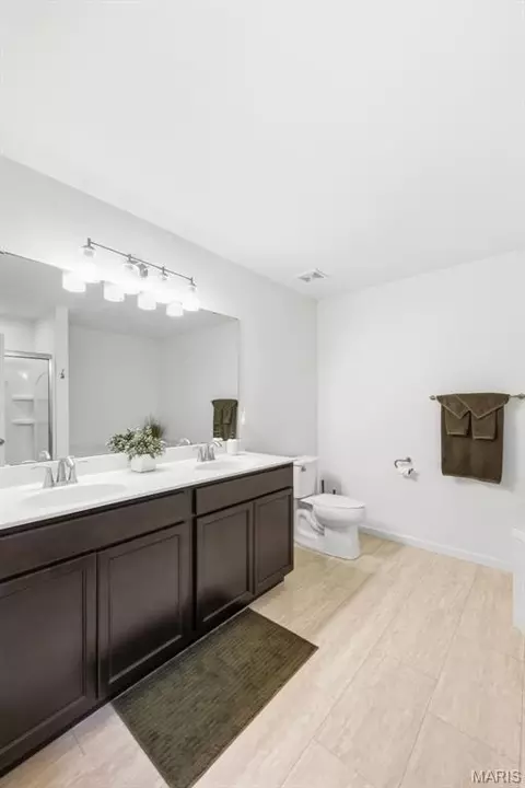 Bath - 413 Fox Sedge Ct, O'fallon, MO 63366 photo 3 of 5