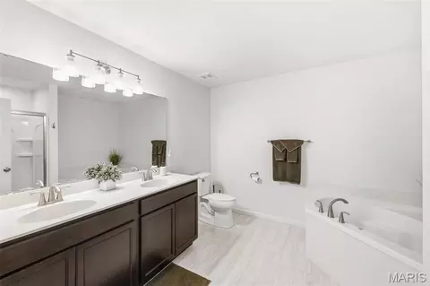 Bath - 413 Fox Sedge Ct, O'fallon, MO 63366 photo 5 of 5