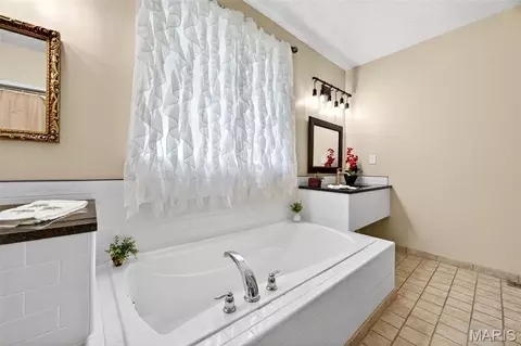 Bath - 51 Parkview Ln, Troy, MO 63379 photo 5 of 5
