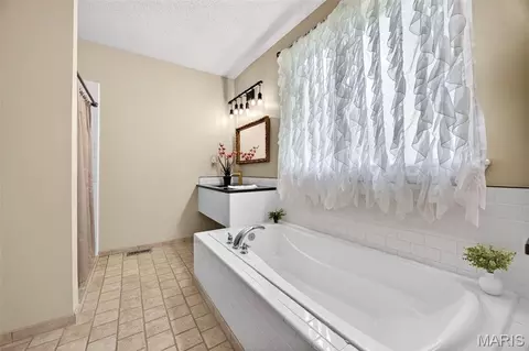Bath - 51 Parkview Ln, Troy, MO 63379 photo 4 of 5