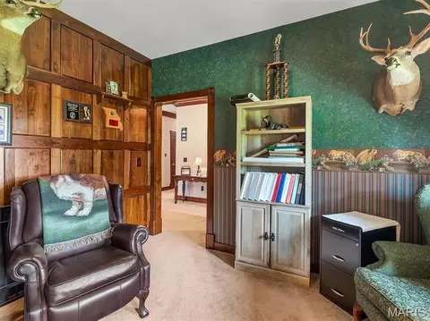 Other - 245 Chickadee Ln, Sullivan, MO 63080 photo 5 of 31