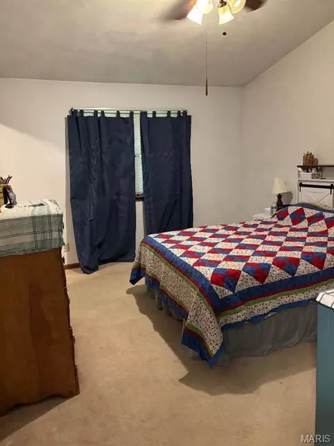 Bedroom - 270 Eldondale Dr, Hecker, IL 62248 photo 4 of 4