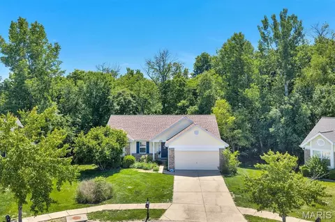Other - 1233 Powell Pl, Pacific, MO 63069 photo 7 of 8