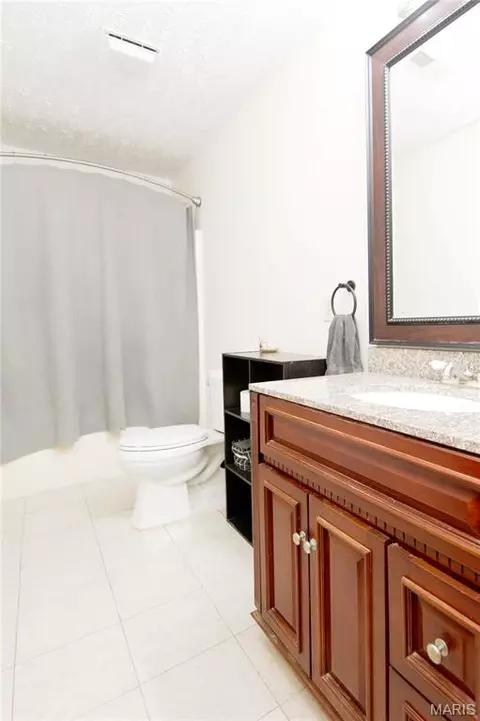 Bath - 29828 Anthony Rd, Falcon, MO 65470 photo 1 of 4