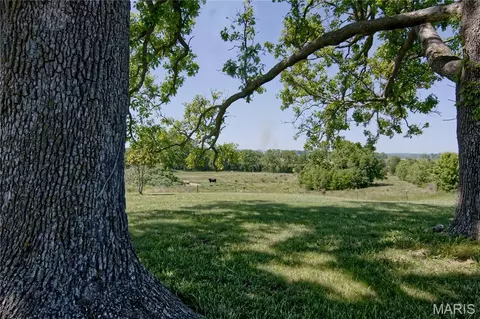 Exterior - 29828 Anthony Rd, Falcon, MO 65470 photo 11 of 13