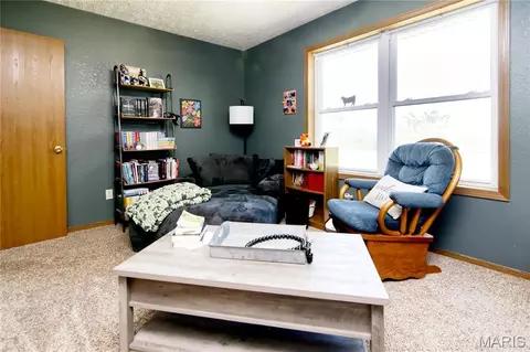 Other - 29828 Anthony Rd, Falcon, MO 65470 photo 7 of 12