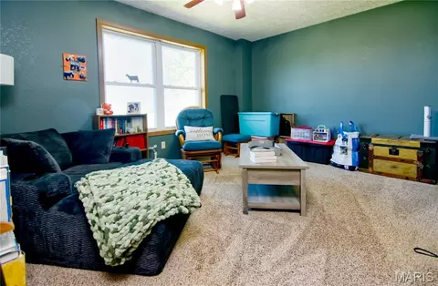 Living - 29828 Anthony Rd, Falcon, MO 65470 photo 2 of 2