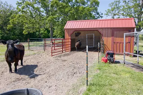 Other - 29828 Anthony Rd, Falcon, MO 65470 photo 9 of 12