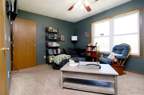 Other - 29828 Anthony Rd, Falcon, MO 65470 photo 6 of 12