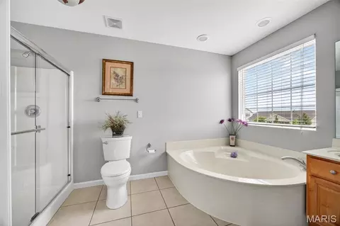 Bath - 1214 Sunny Ridge Dr, O'fallon, MO 63366 photo 2 of 5