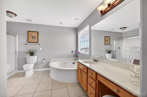 Bath - 1214 Sunny Ridge Dr, O'fallon, MO 63366 photo 5 of 5